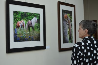 To Newsroom Article Spring 2019 Art Show event
