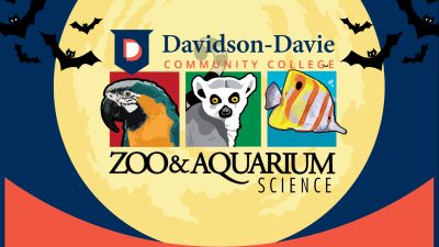 Davidson-Davie Community College Zoo & Aquarium Science Program Logo with spooky moon and bats flying around it