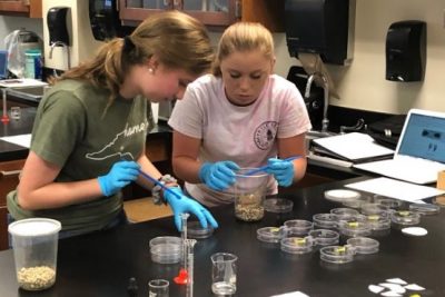 To DCCC Newsroom article: "DCCC faculty, students publish research in their fields"