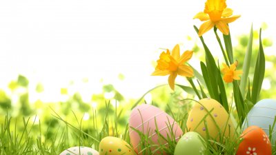 Colorful easter eggs nestled in tall grass and yellow flowers