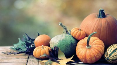 Assorted Pumpkins