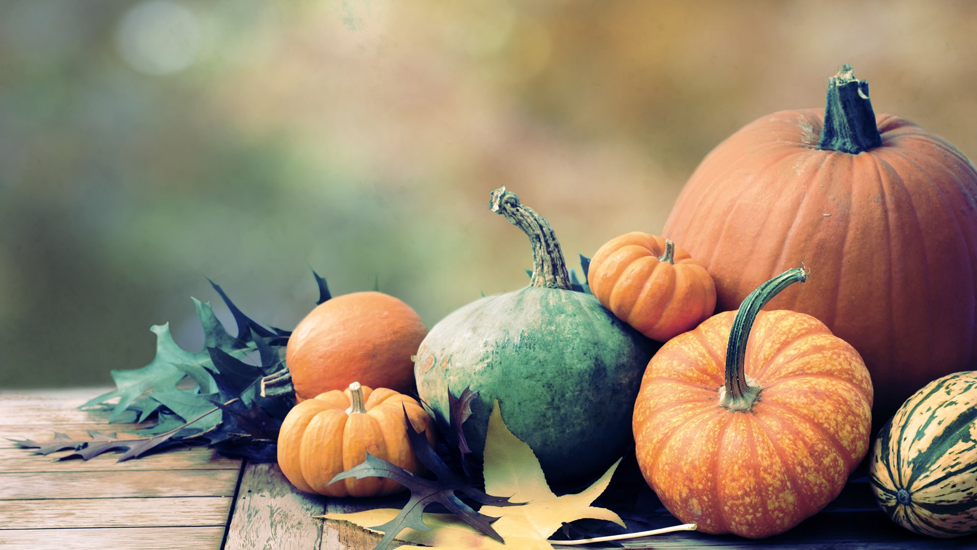 Assorted Pumpkins