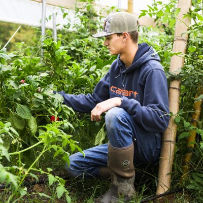 Sustainable Agriculture Student in Greenhouse