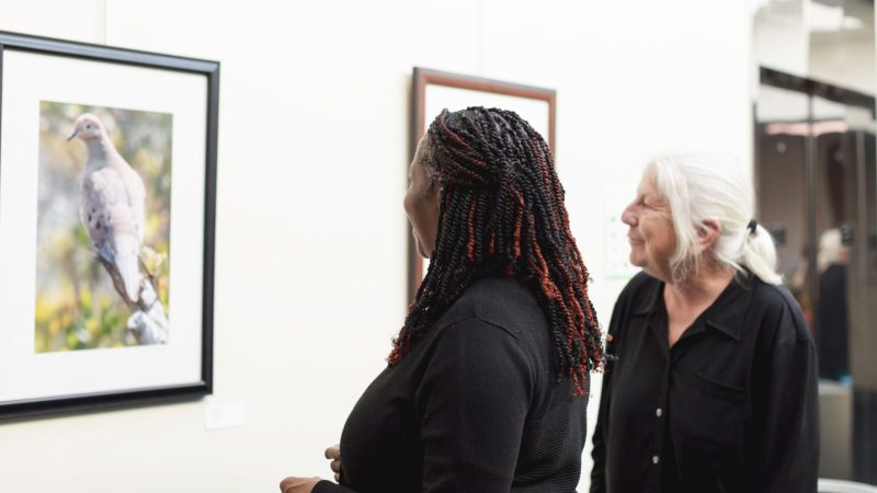 Art Show Reception