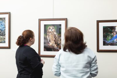 Art Show Reception