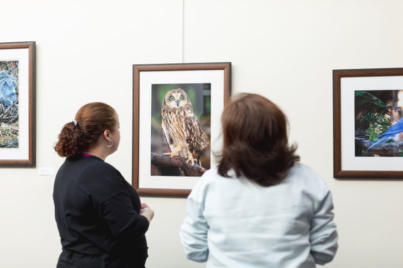 Art Show Reception