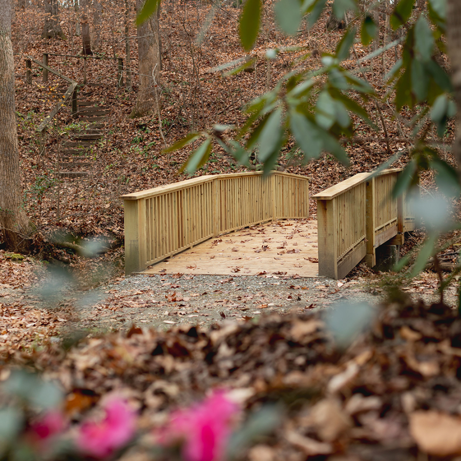 A wooden bridge in a forested area with dry leaves and distant steps amidst trees in an autumn setting.
